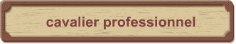 cavalier professionnel