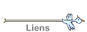 Liens